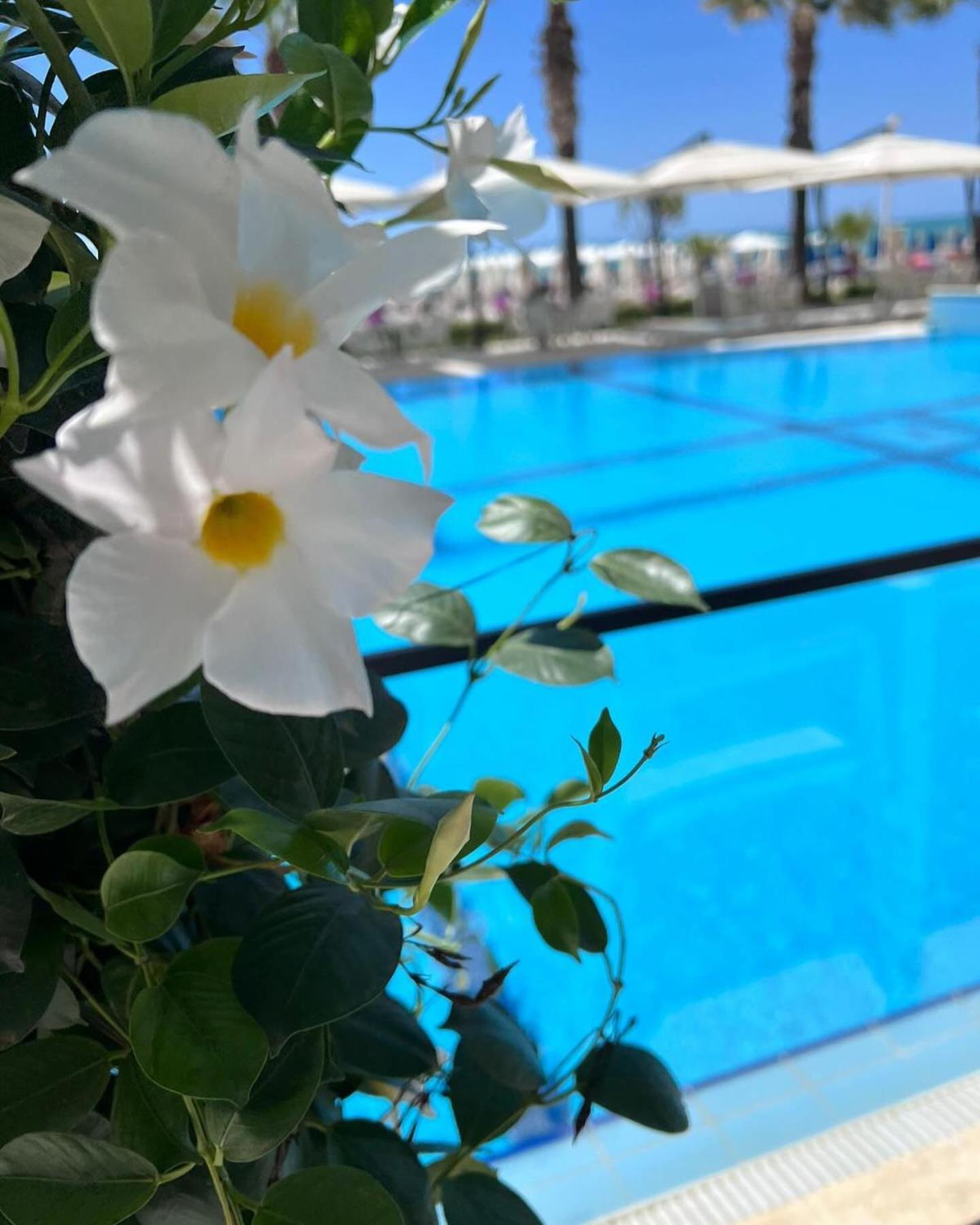 Hotel Blue Marine Škalngur